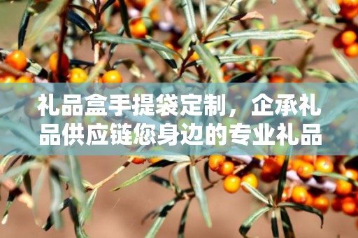 礼品盒手提袋定制，企承礼品供应链您身边的专业礼品定制公司